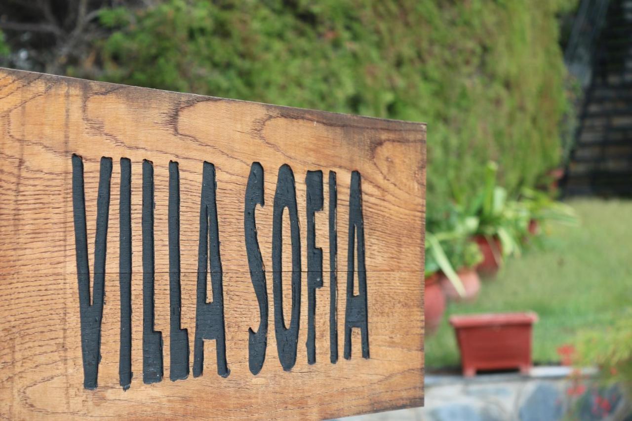 Villa Sofia Marathos  エクステリア 写真